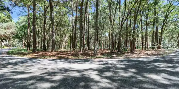 Image 3 Image 3