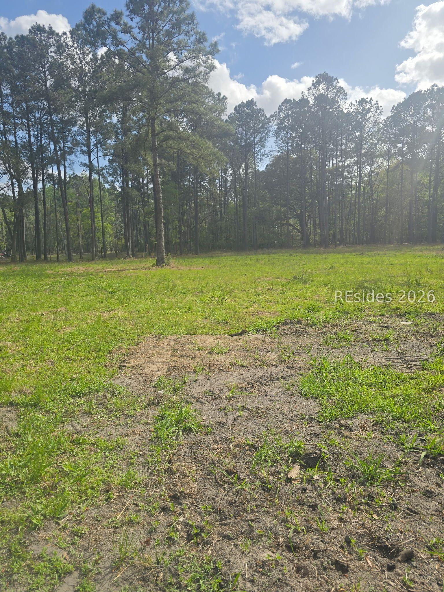 Image 1 Image 1