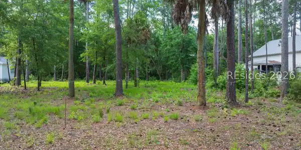 Image 4 Image 4