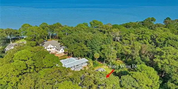 2 Angel Wing Drive