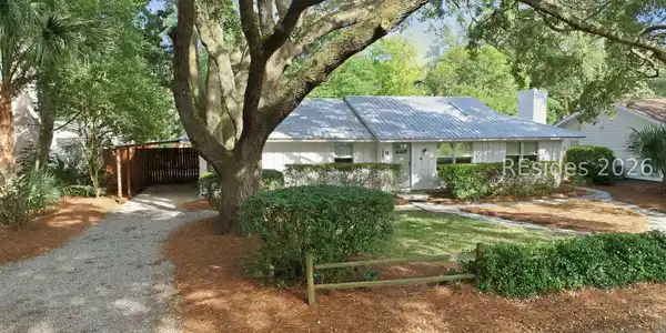 Image 3: Gorgeous canopy of live oaks Image 3: Gorgeous canopy of live oaks