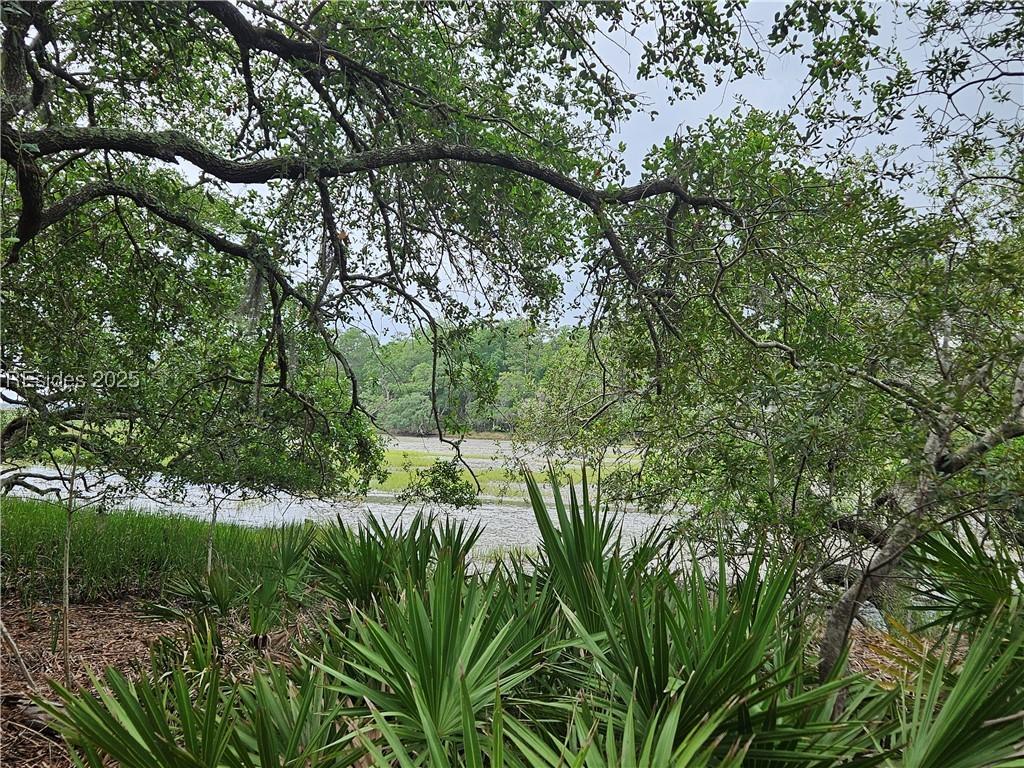Image 3: Waterview of Property from the rear.