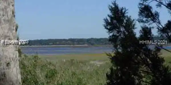 5 Woodstork Watch