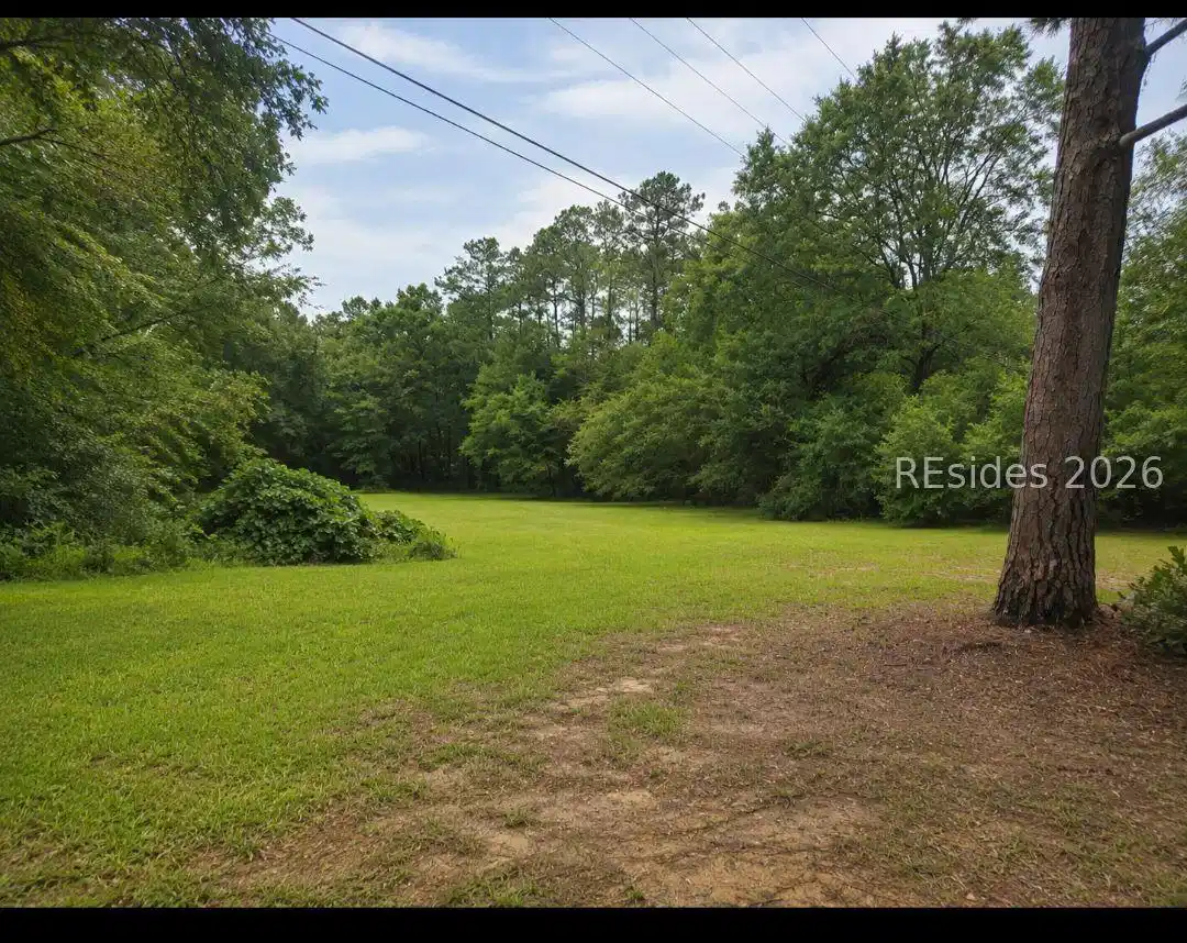 Image 1 Image 1