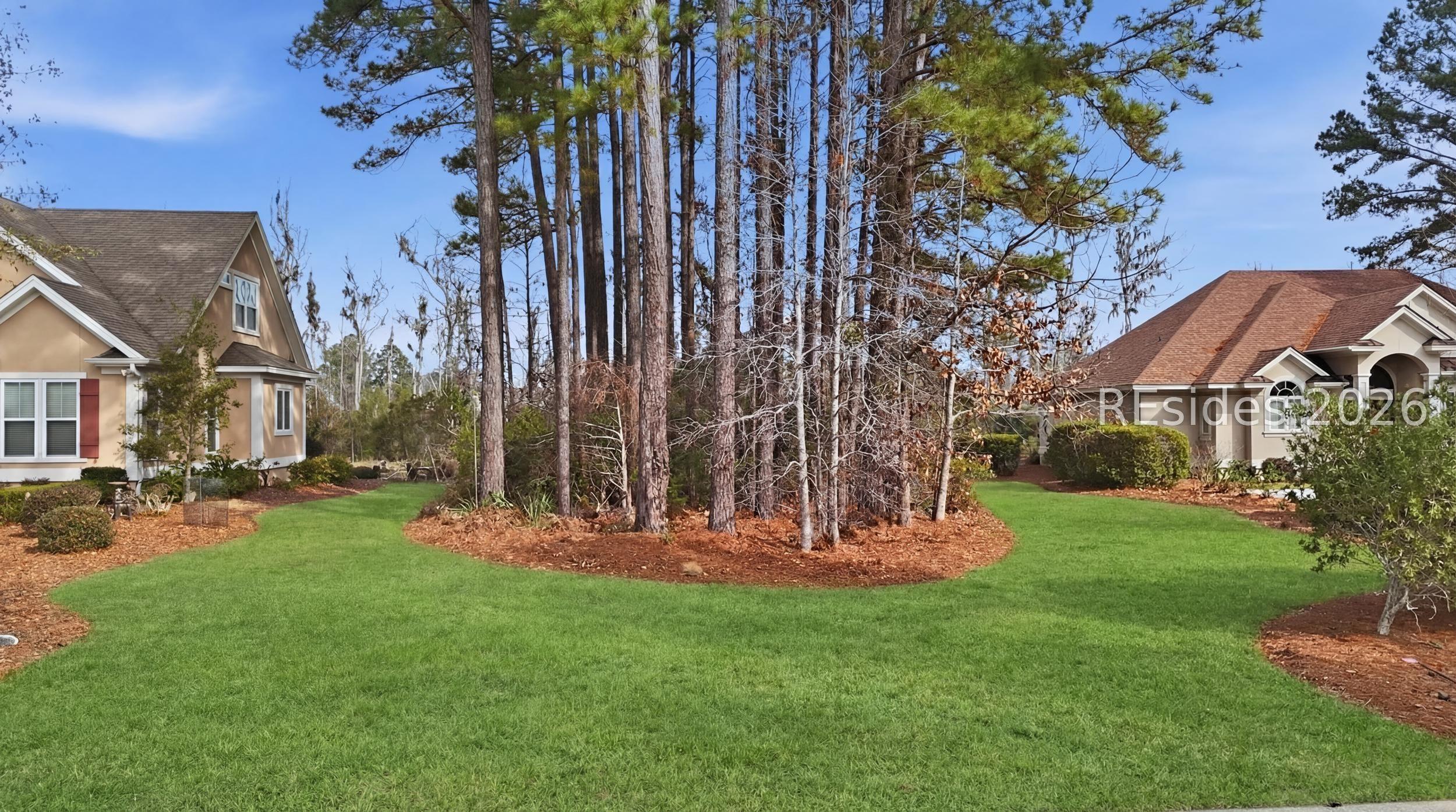 Image 4 Image 4