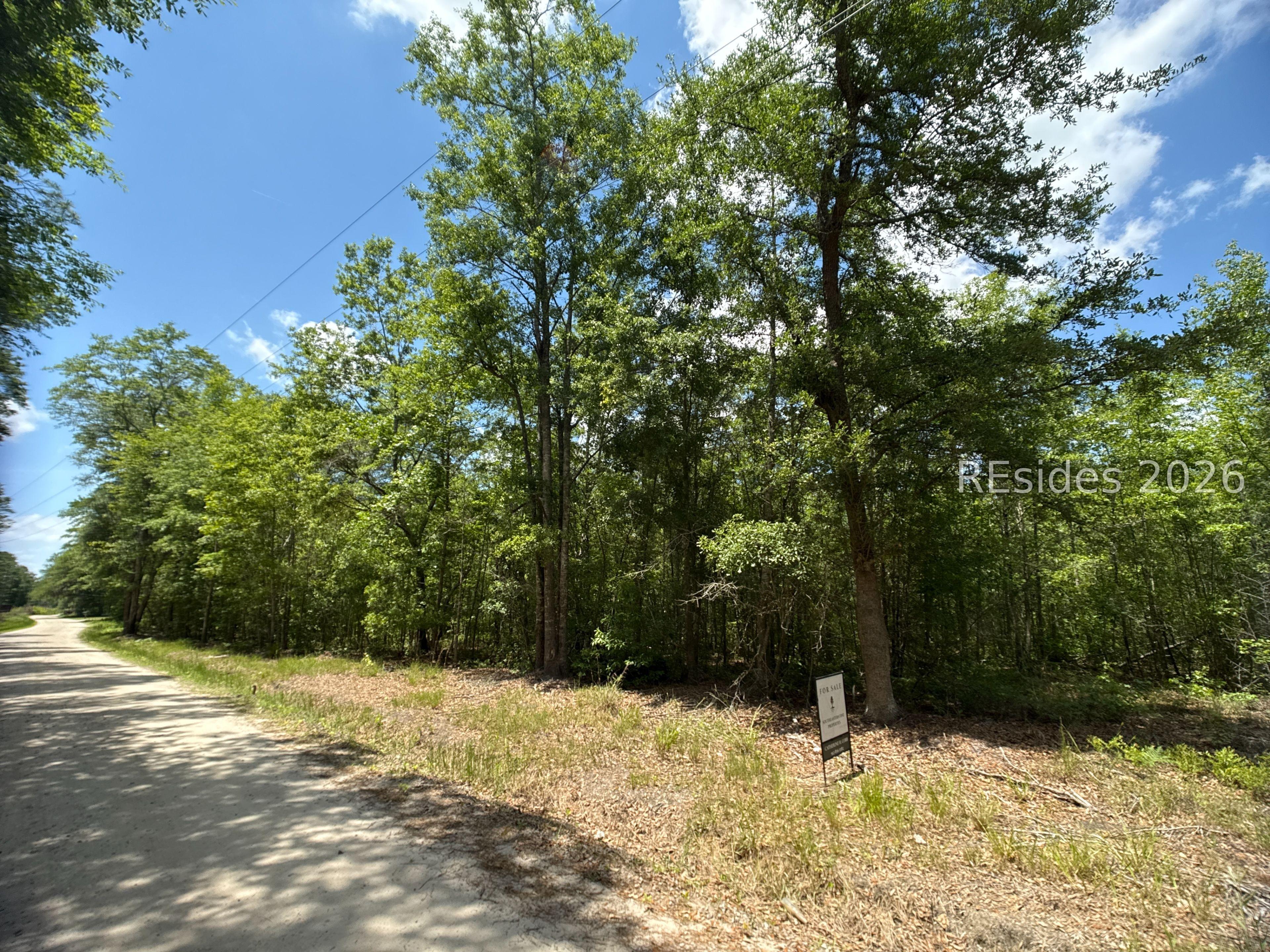 Image 3: Heavily wooded 30 acres - Martin Tract Image 3: Heavily wooded 30 acres - Martin Tract