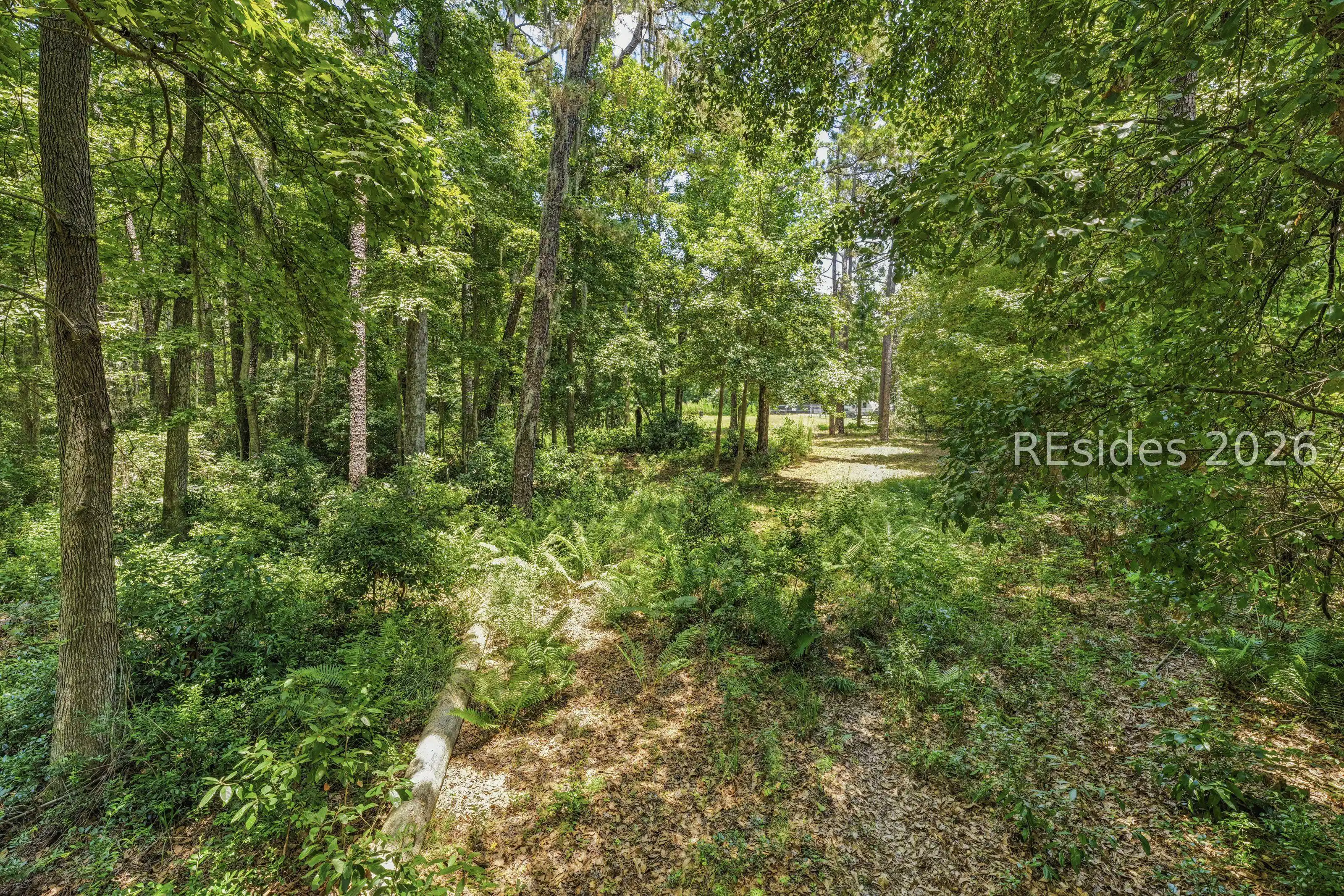 Image 1 Image 1