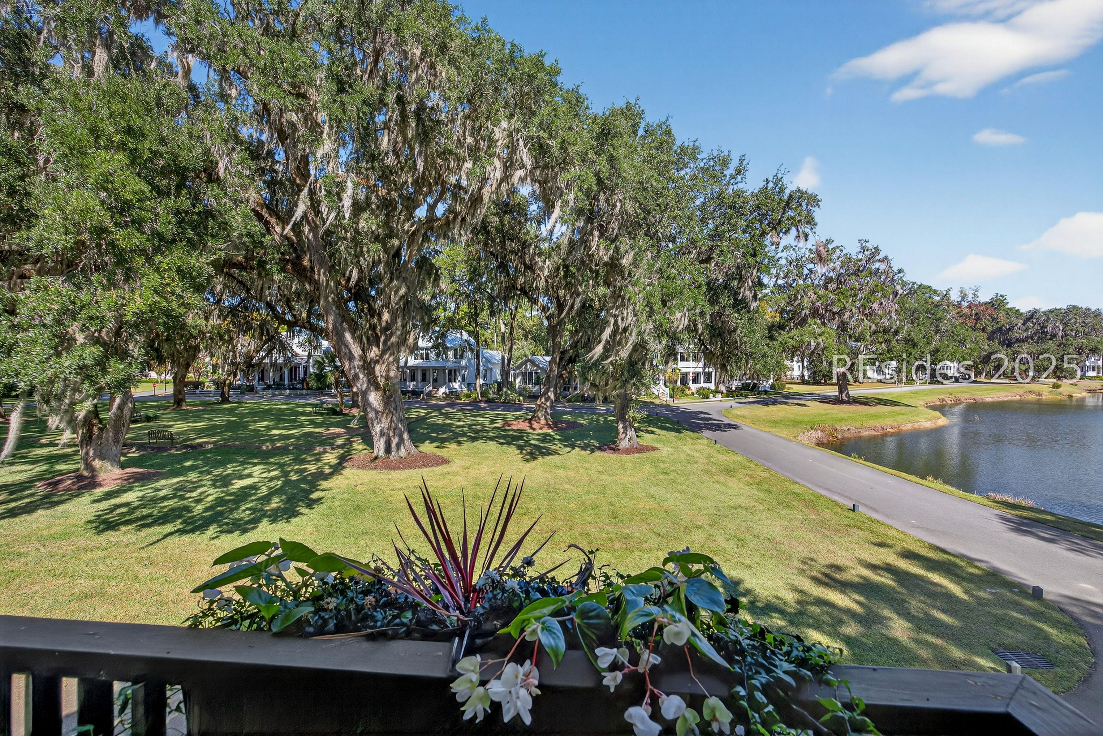 Image 3: Breathtaking live oaks and pond view Image 3: Breathtaking live oaks and pond view