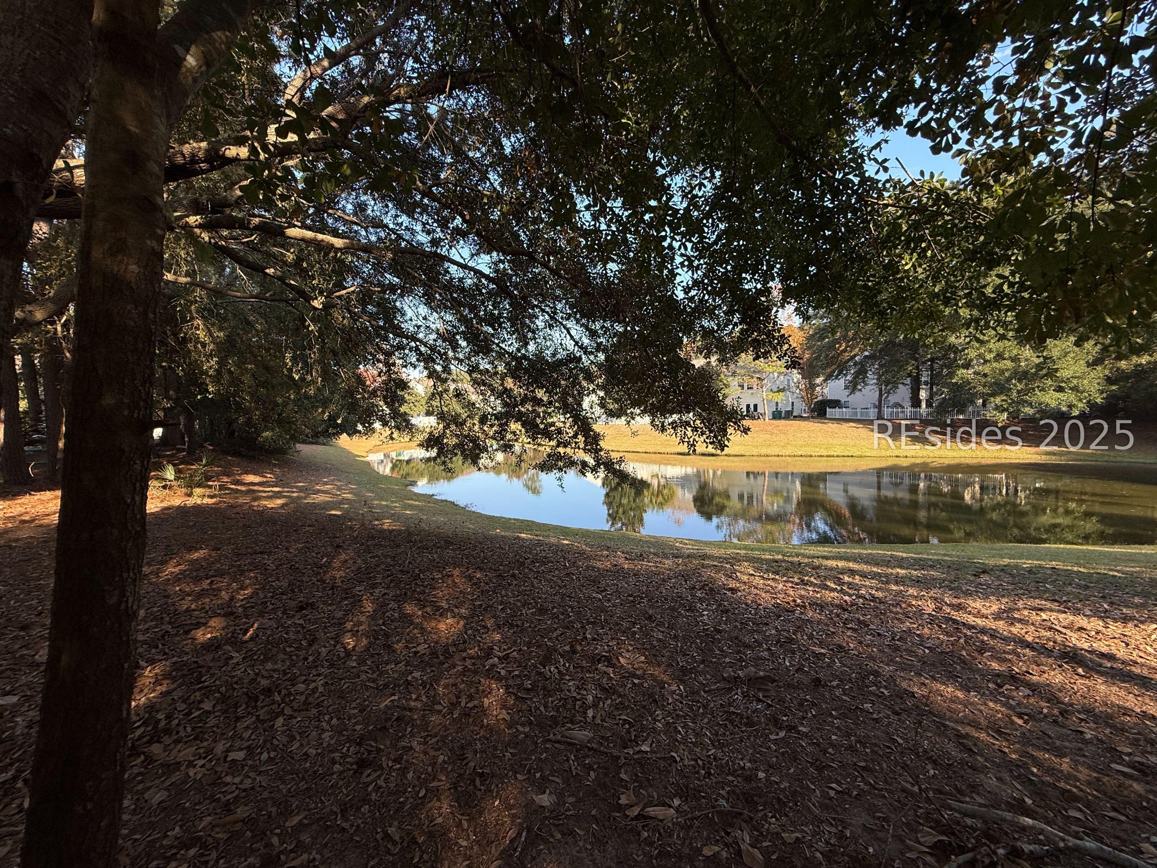 Image 3: Lagoon Frontage