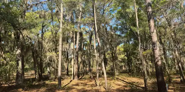 Image 3 Image 3