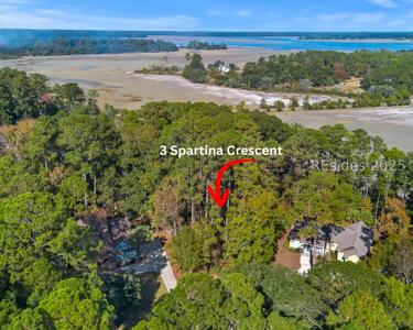 3 Spartina Crest