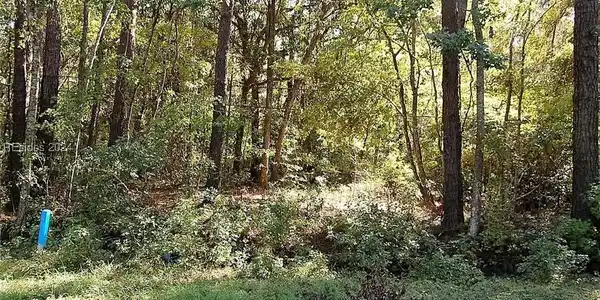 Image 4 Image 4