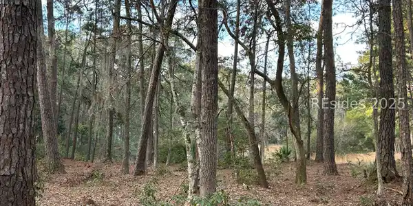 Image 3 Image 3