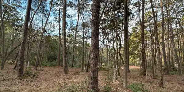 Image 4 Image 4