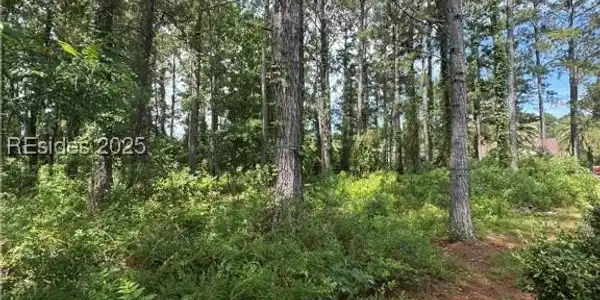 Image 4 Image 4