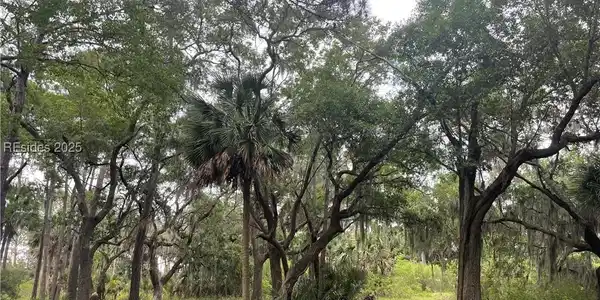 4 Marsh Palm Place