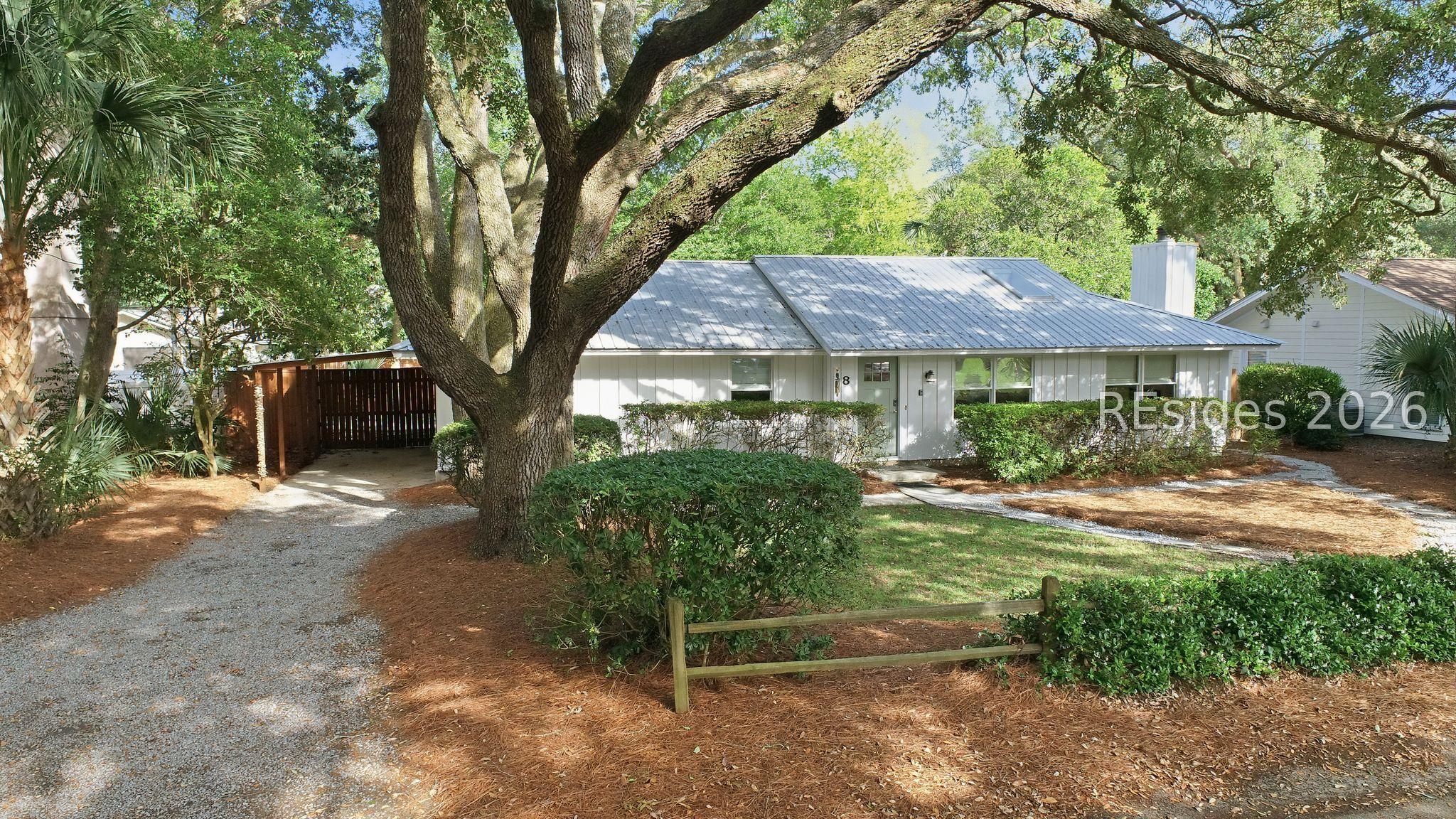 Image 2: Gorgeous canopy of live oaks