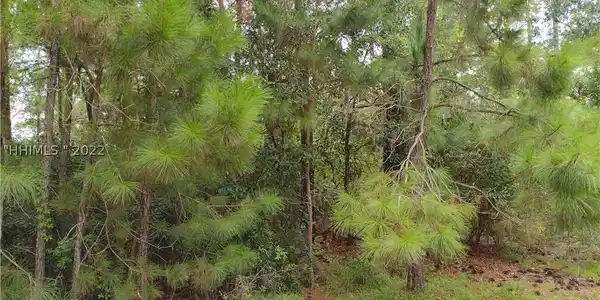Image 2 Image 2