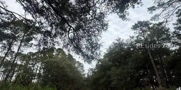 Image 2 Image 2