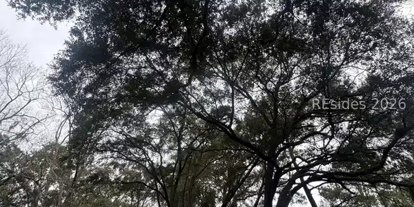 Image 3 Image 3
