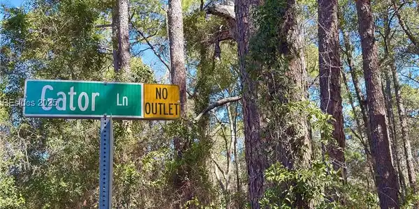 106 Gator Lane