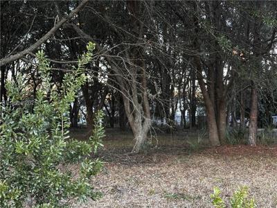 6 Maypop Court