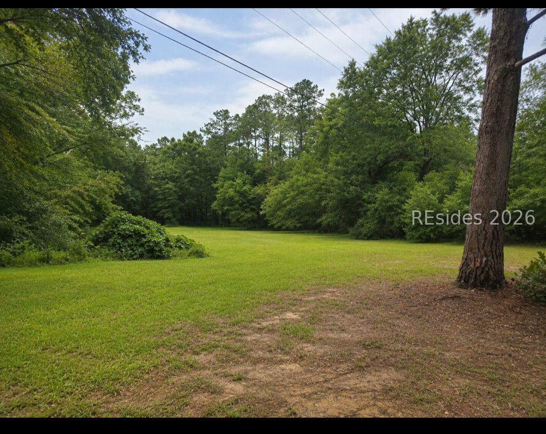 Image 1 Image 1
