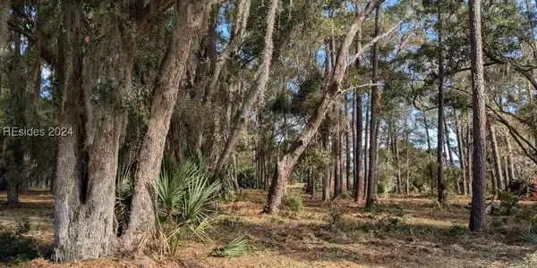 41 River Road