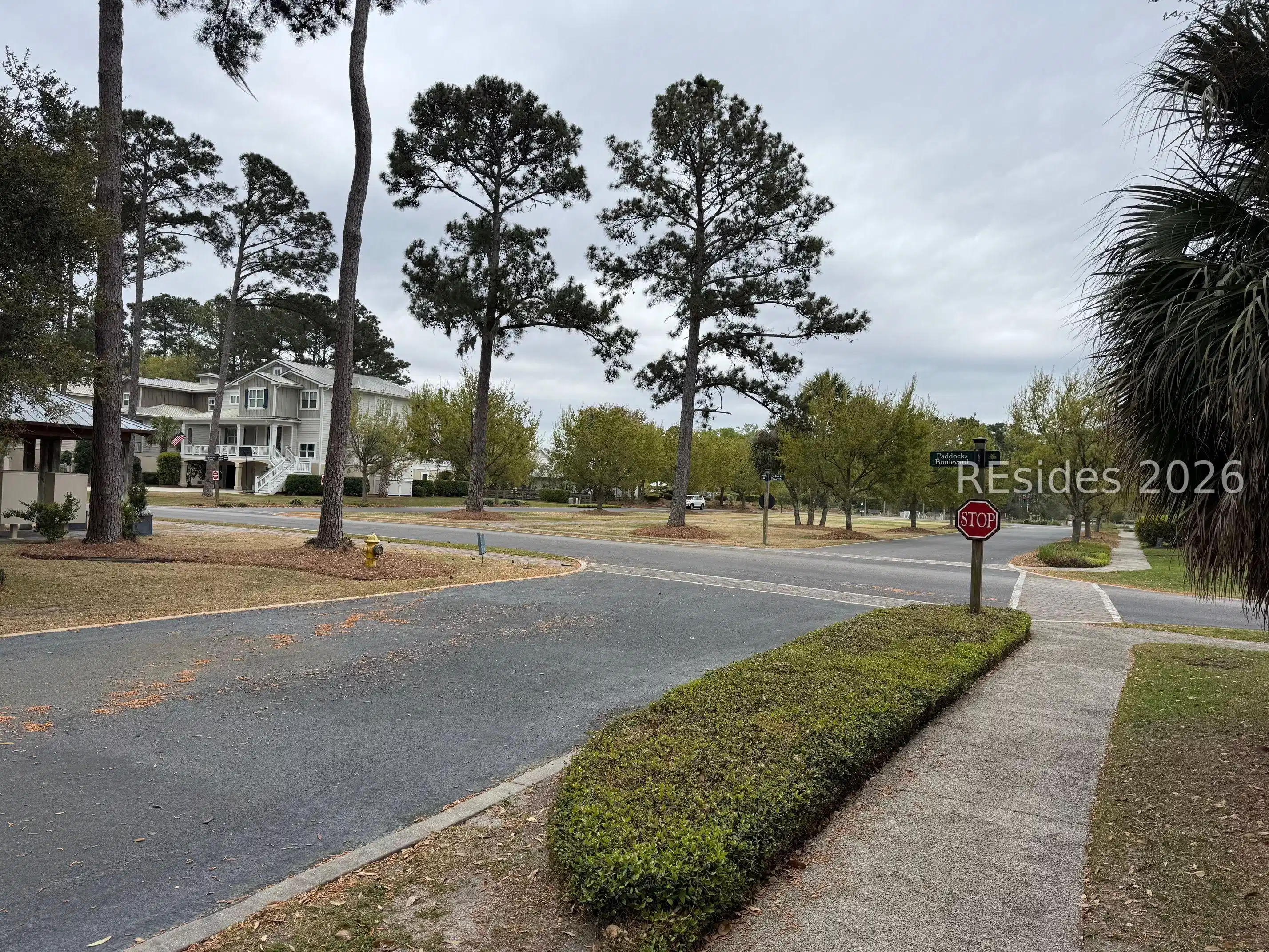 Image 1 Image 1