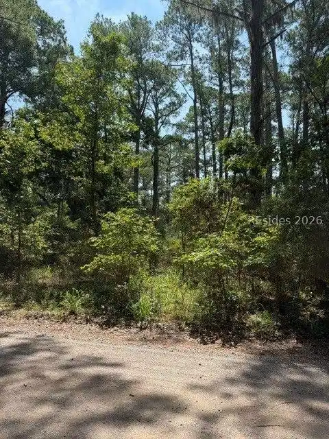 Image 1 Image 1