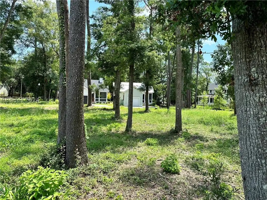Image 1 Image 1