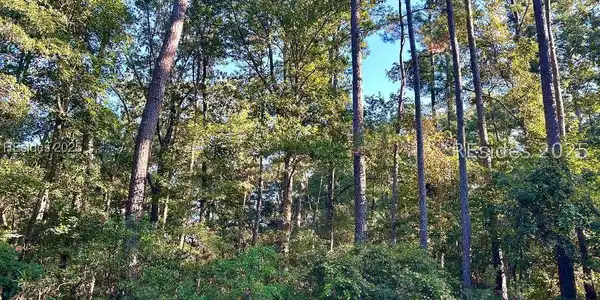 Image 2 Image 2