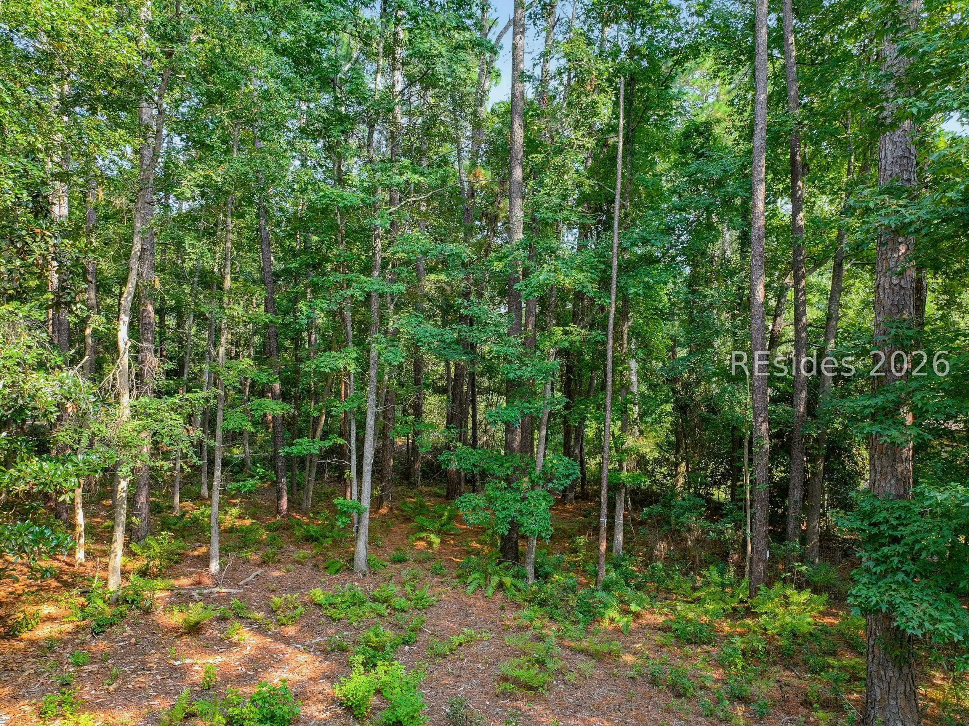 Image 1 Image 1