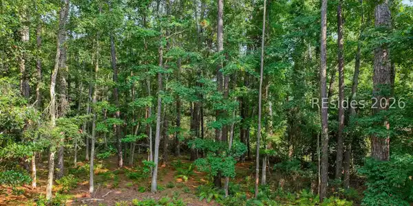 86 Wade Hampton Drive