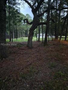 62 Johnson Landing Road