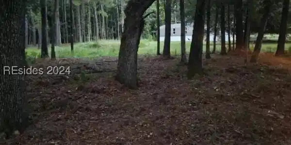 62 Johnson Landing Road