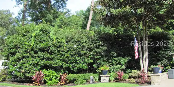 Image 4 Image 4
