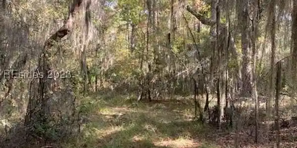 5 Blackberry Ridge