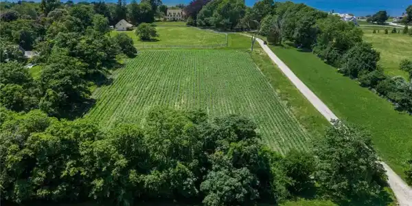 6 Bay Farm Lane