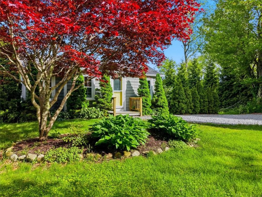 Image 1: Front yard, stone driveway