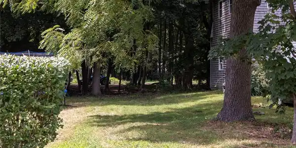 Image 2: Driveway easement looking toward lot