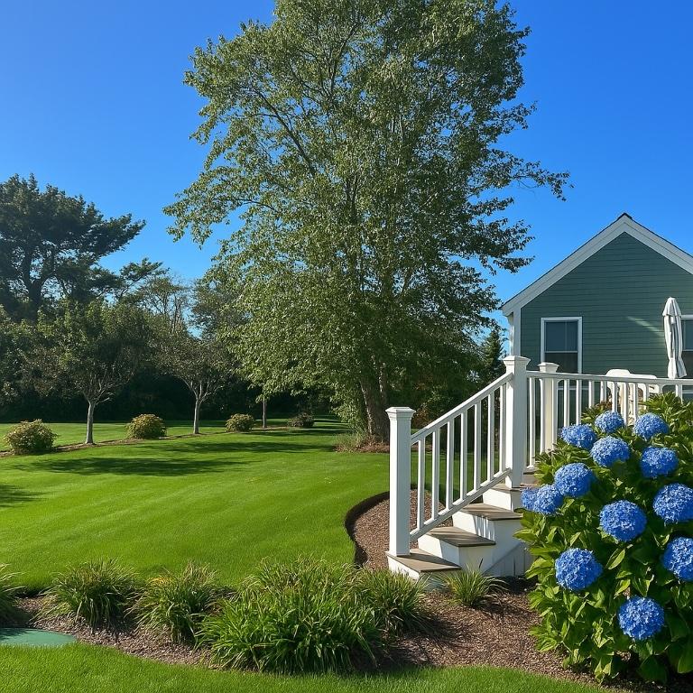 Image 4: Private and flat backyard