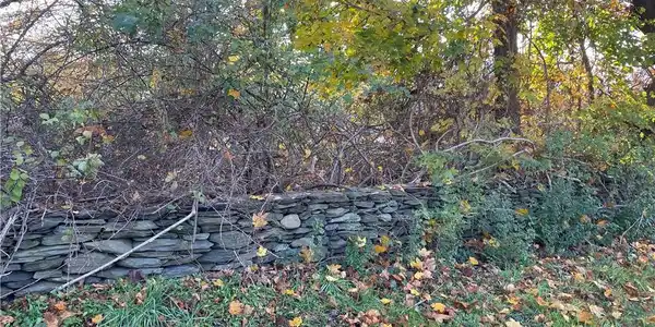 Image 4: Perimeter Stone Walls