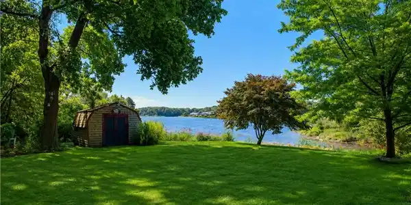 Image 3: Back Yard