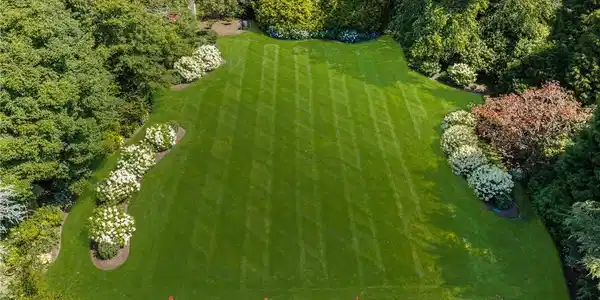 Image 4: Beautifully landscaped, private yard