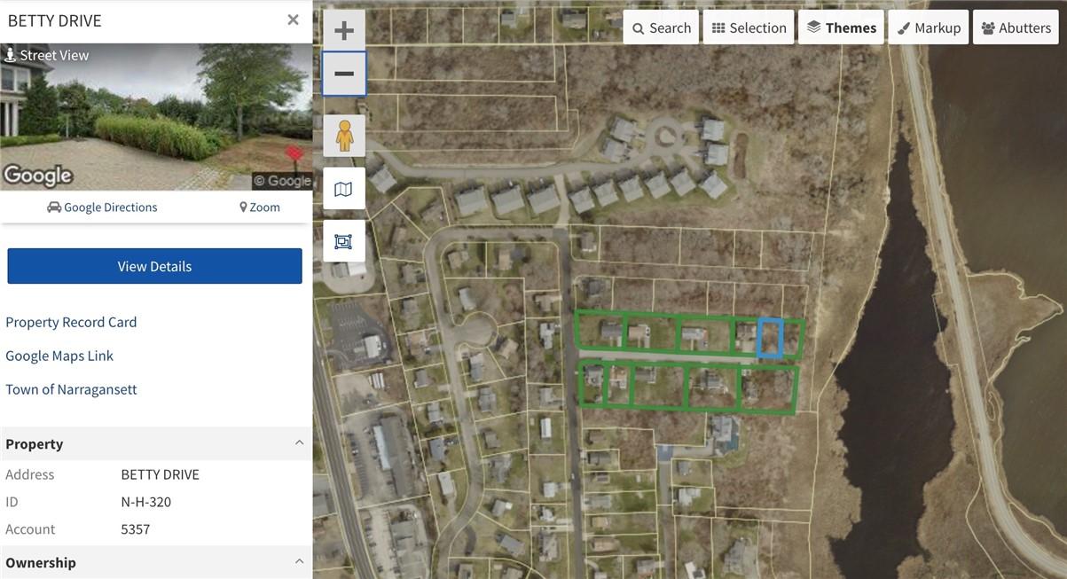 Image 2: Plat NH Lot #320 (Highlighted in Blue)