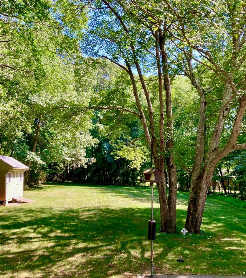 Image 3: Flat south facing back yard