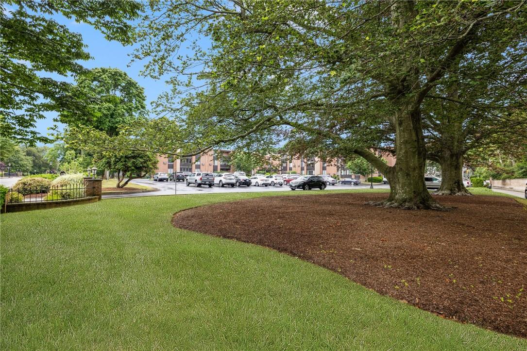 Image 2: Beautiful mature grounds.
