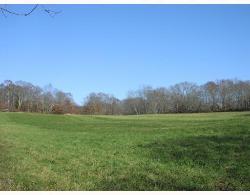 Image 1: Upper open field