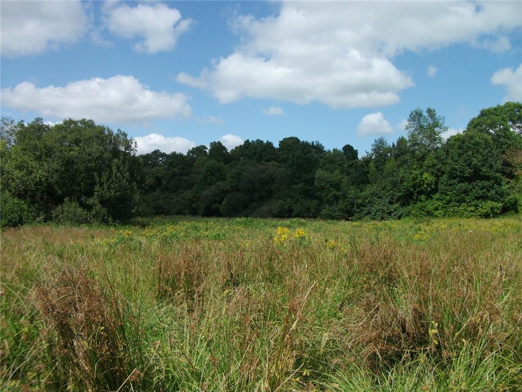 Image 2: Lower hay field
